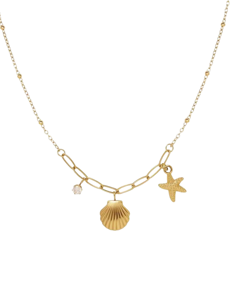 Cadena estrella con concha dorado