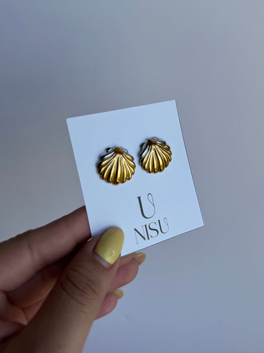 Aretes concha bicolor